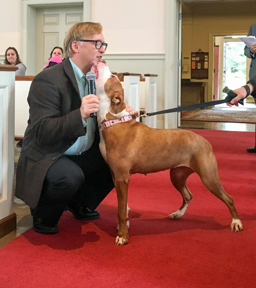 Photo of Billie Jean, a dog at Blessing of the Animals, licking Rev. Tim Dalton's face